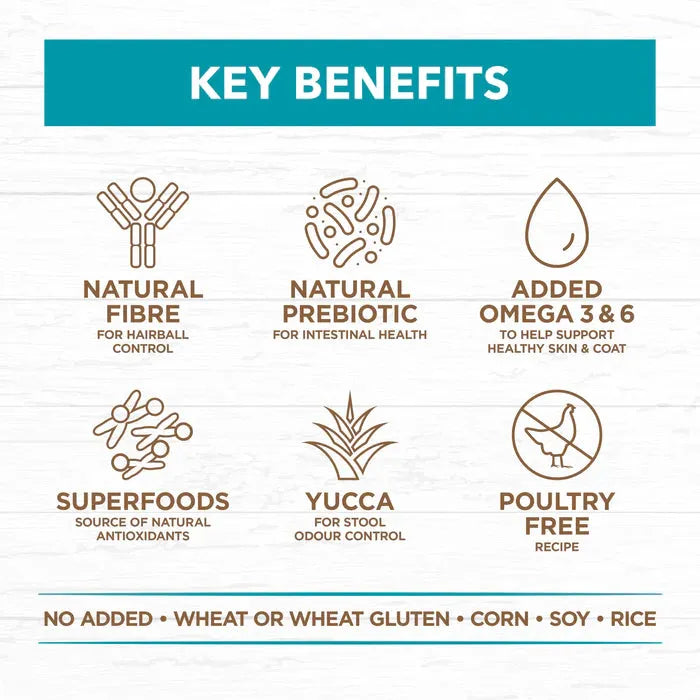 IVORY COAT - Grain Free Adult Dry Cat Food Oceanfish & Salmon