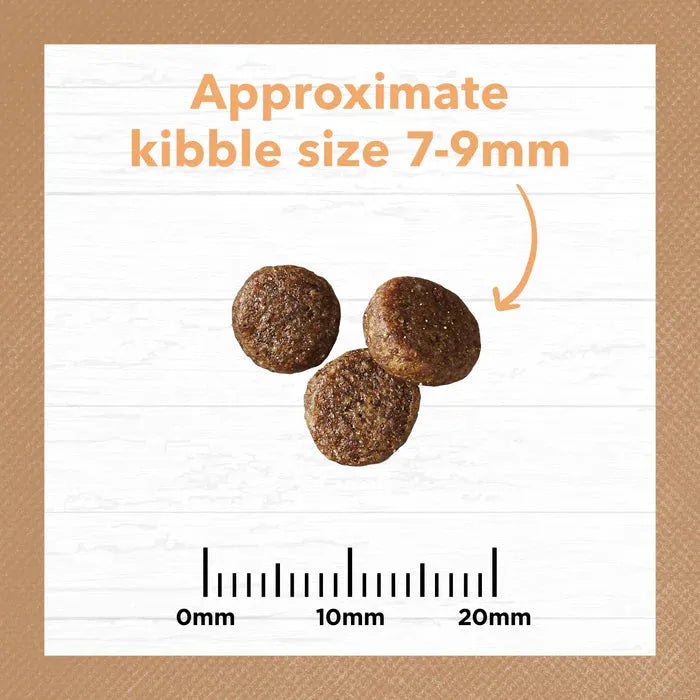 IVORY COAT - Grain Free Kitten Dry Food Chicken 2kg