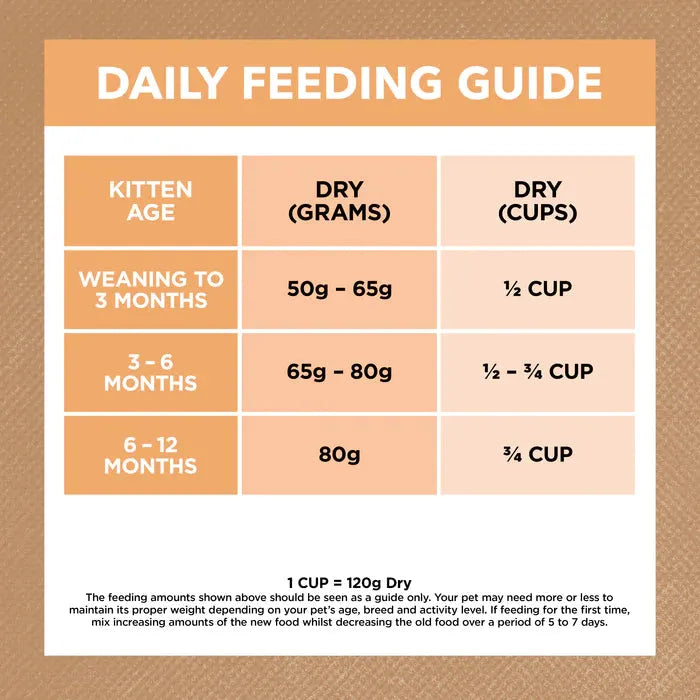 IVORY COAT - Grain Free Kitten Dry Food Chicken 2kg