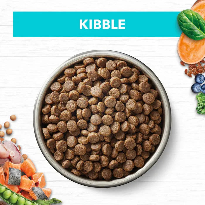 IVORY COAT - Grain Free Kitten Dry Food Oceanfish & Salmon 2kg