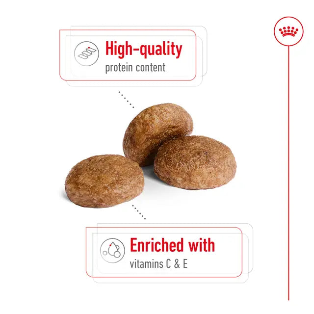 ROYAL CANIN Adult Dry Dog Food Medium Mature Adult 7+ 15kg