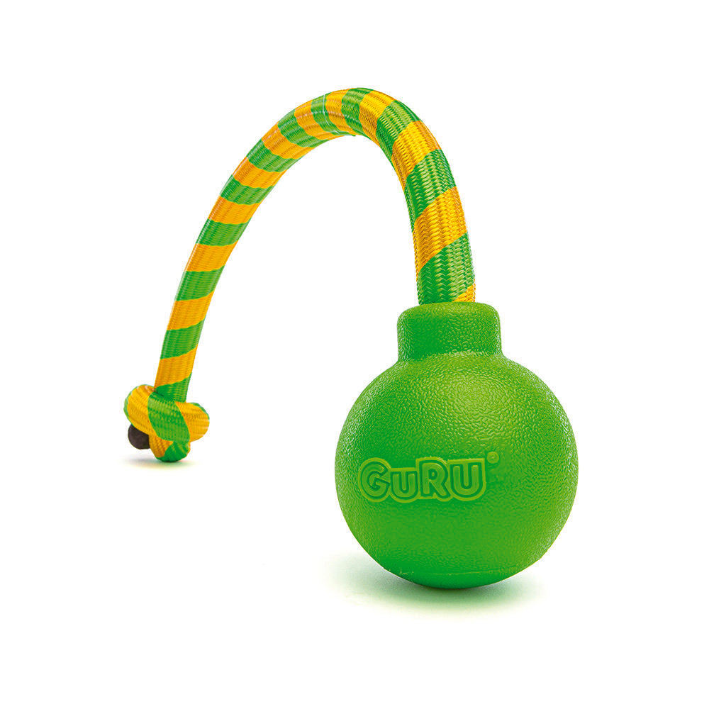 GURU Dog Toy Single Squeaking Rope Medium