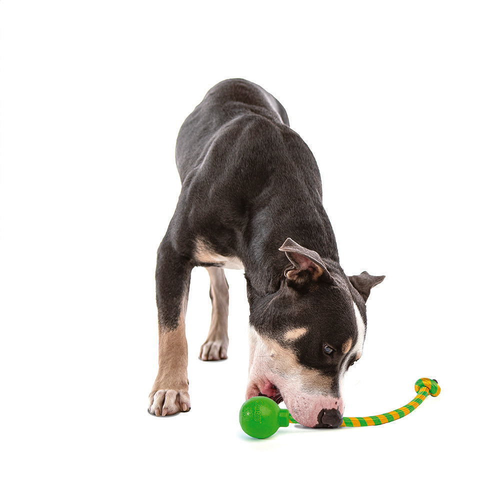 GURU Dog Toy Single Squeaking Rope Medium