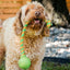 GURU Dog Toy Single Squeaking Rope Medium