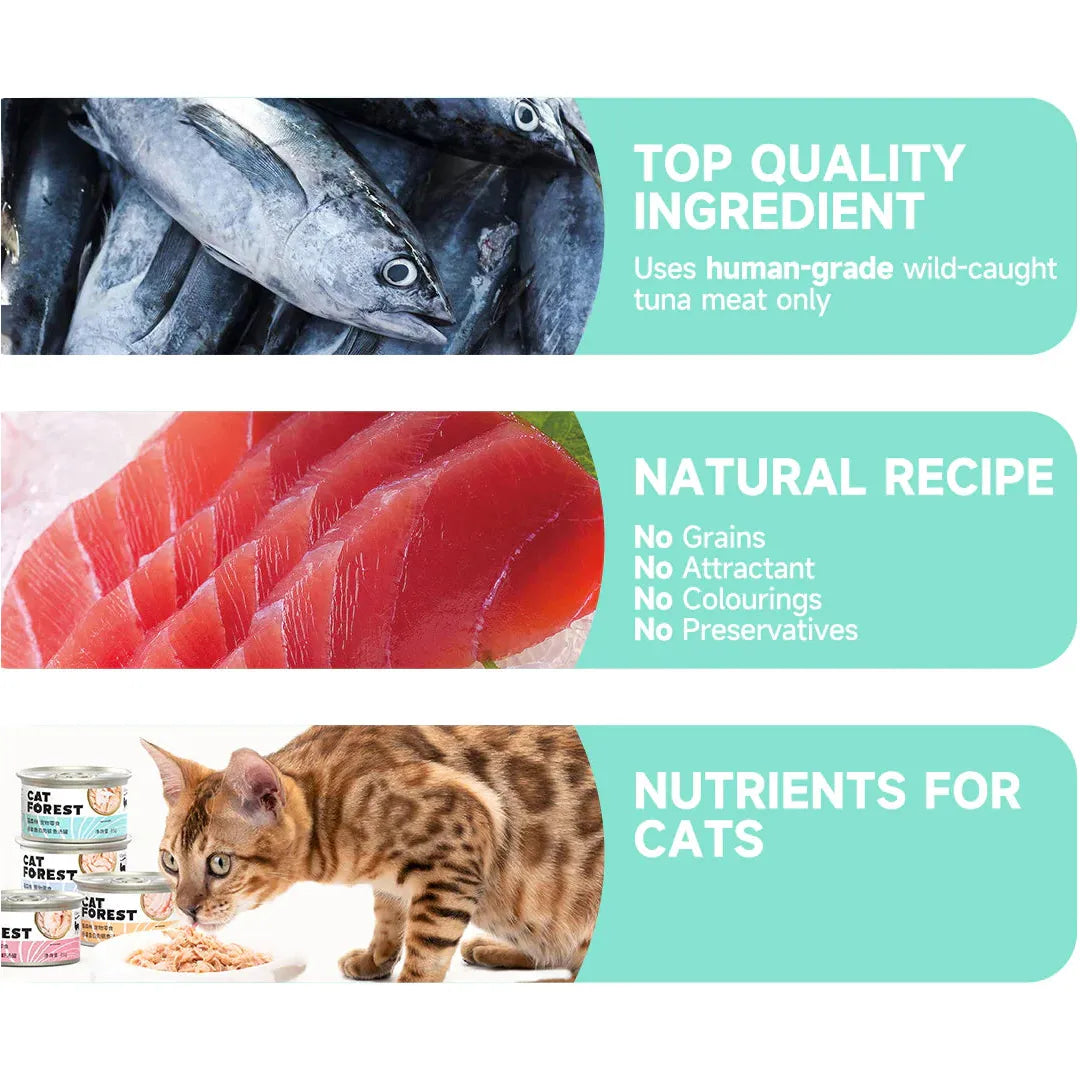 CAT FOREST Premium Tuna White Meat with Salmon in Jelly Canned Cat Food 85g