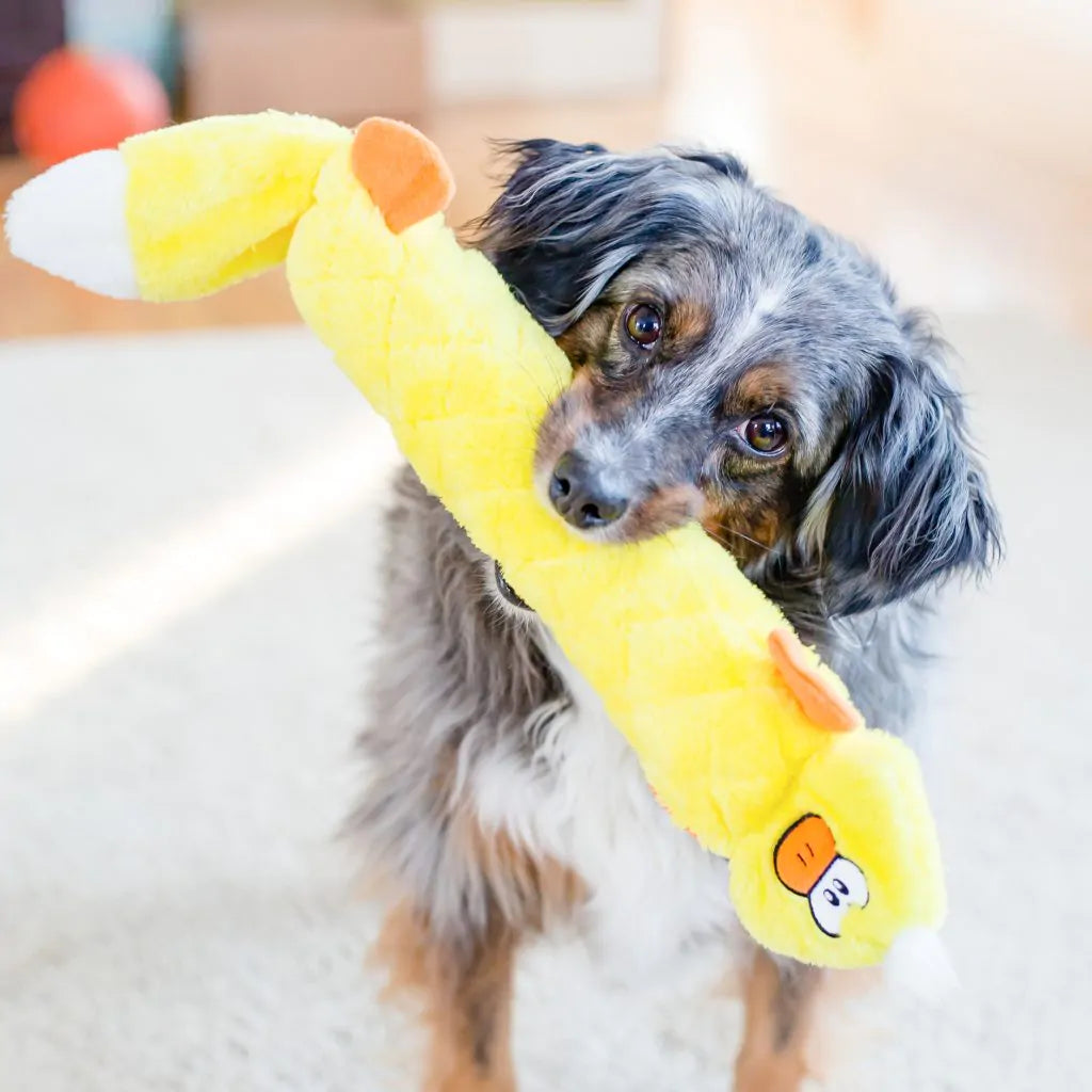 Zippypaws Plush Toys For Dog Jigglerz® – Duck
