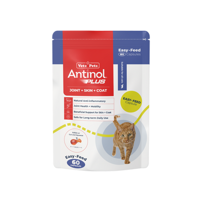 Antinol Plus Easy Feed for Cats 60 capsules pouch, front of pack