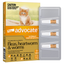 ADVOCATE Flea & Worming For Small Cats and Kittens Orange 0-4Kg
