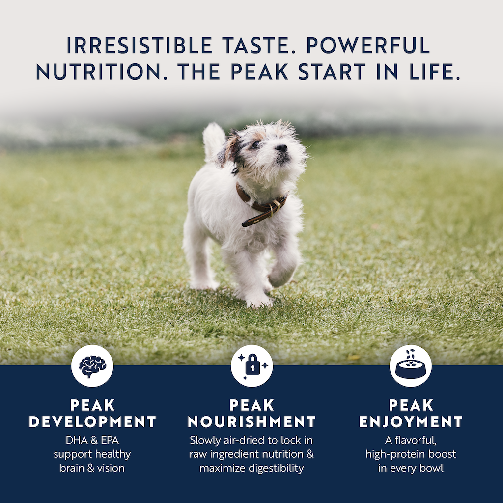 Ziwi Peak Air Dried Puppy Food Chicken & Lamb 400g