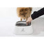 All Fur You Anti Splash Water Bowl For Cats and Dogs 1L