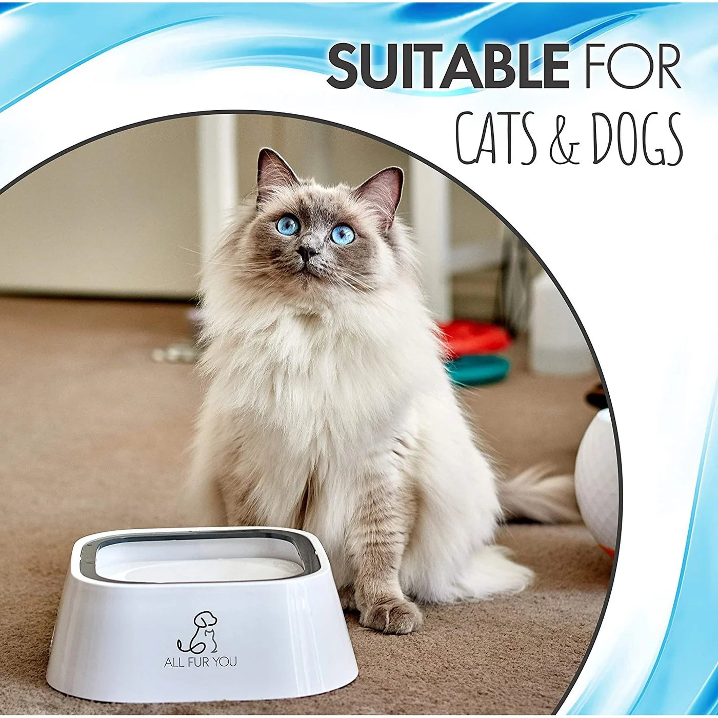 All Fur You Anti Splash Water Bowl For Cats and Dogs 1L