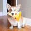 Zippypaws Plush Toys For Dog NomNomz® – Pizza Slice