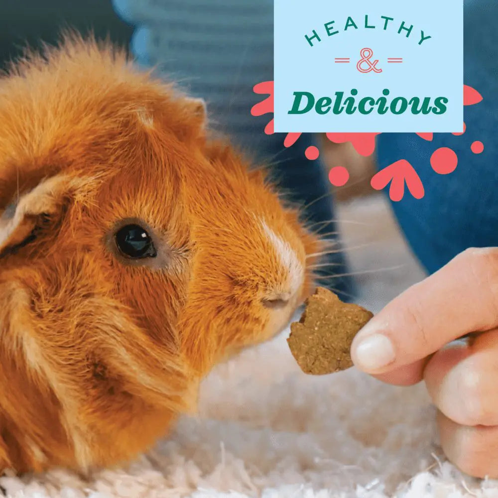 Oxbow Organic Barley Biscuits
