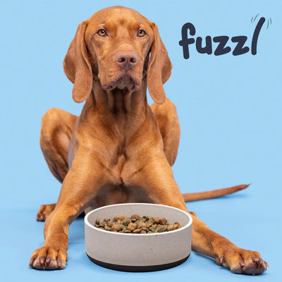 Fuzzl Titan Bamboo & Rubber Base Dog Bowl | Ultra Grip 22cm