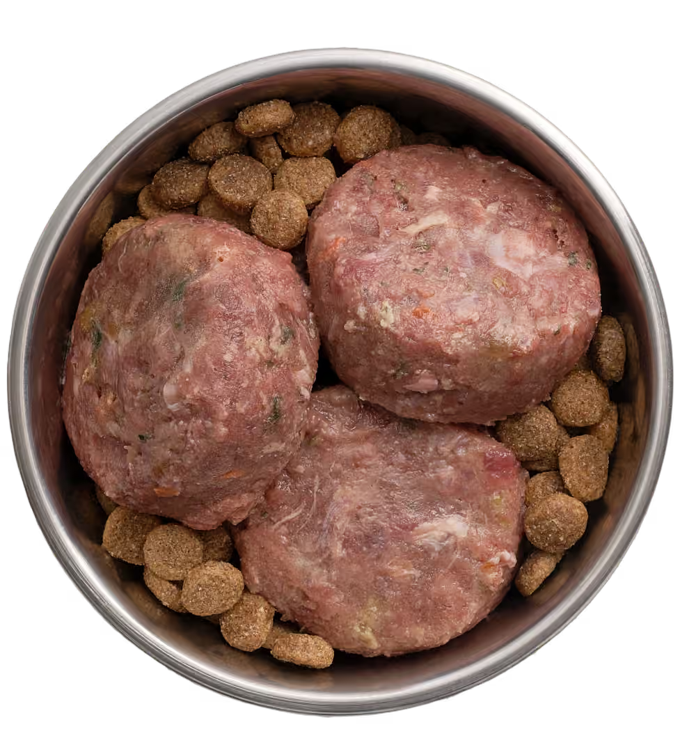 Doctor B's BARF Frozen Adult Dog Food Medallions Combo Recipe 1kg