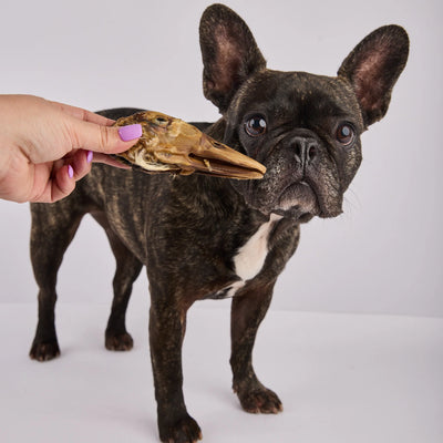 Laila and Me Dog Treat Dehydrated Duck Heads 90g