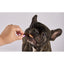 Laila and Me Dog Treat Pig Snout 120g