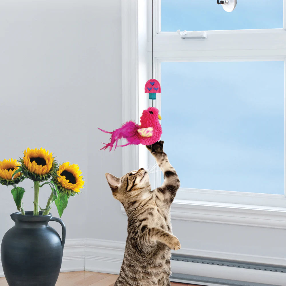 KONG Cat Toys Connects Window Teaser Assorted