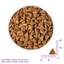 WELLNESS Core Grain Free Dog Dry Food Small Breed Original Turkey 1.8kg
