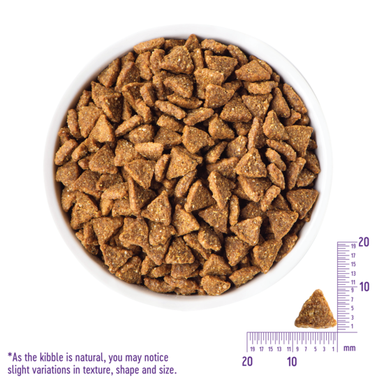 WELLNESS Core Grain Free Dog Dry Food Small Breed Original Turkey 1.8kg