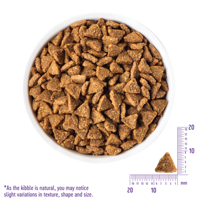WELLNESS Core Grain Free Dog Dry Food Small Breed Original Turkey 1.8kg