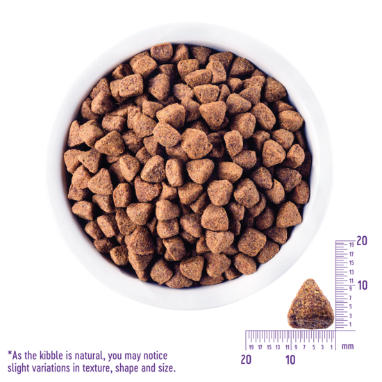WELLNESS Core Grain Free Dog Dry Food Ocean 10Kg