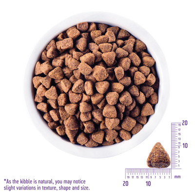 WELLNESS Core Grain Free Dog Dry Food Wild Game 10Kg
