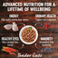 WELLNESS Core Wet Cat Food Tender Cuts With Chicken & Salmon in Savoury Gravy 85g x 8