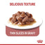 ROYAL CANIN Appetite Control Gravy Adult Wet Cat Food 85g x 12