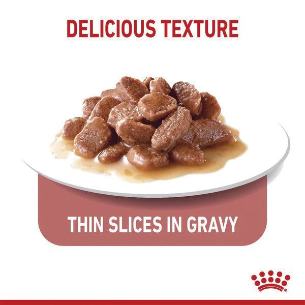 ROYAL CANIN Appetite Control Gravy Adult Wet Cat Food 85g x 12