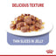ROYAL CANIN Appetite Control Jelly Adult Wet Cat Food 85g x 12