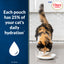 INABA Cat Complete and Balanced Wet Food Churu Entrée Bisque Chicken Recipe Multi Pack 50g x 6