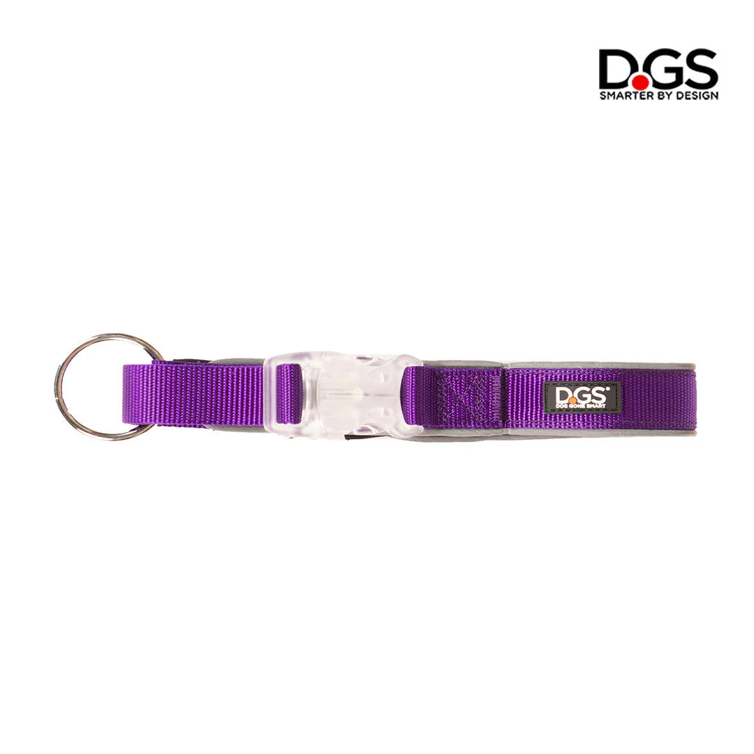 DGS Comet LED Safety Collar For Dogs