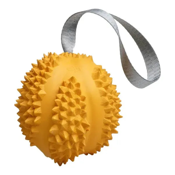 PETOPIA Ultra Tough Dog Toy Durable Durian