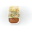 TASTE OF THE WILD - Wet Dog Food DUCK and Chicken with Fruit and Vegetable Tray