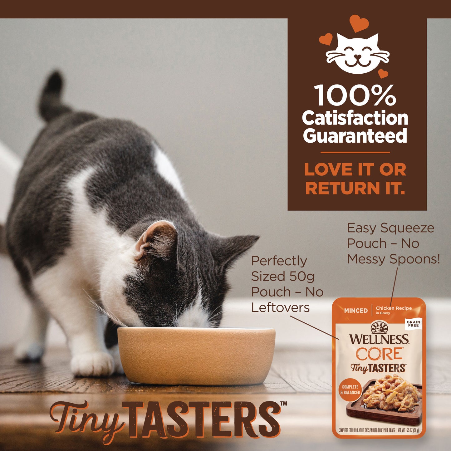 WELLNESS Core Wet Cat Food Tiny Tasters Minced Chicken In Gravy