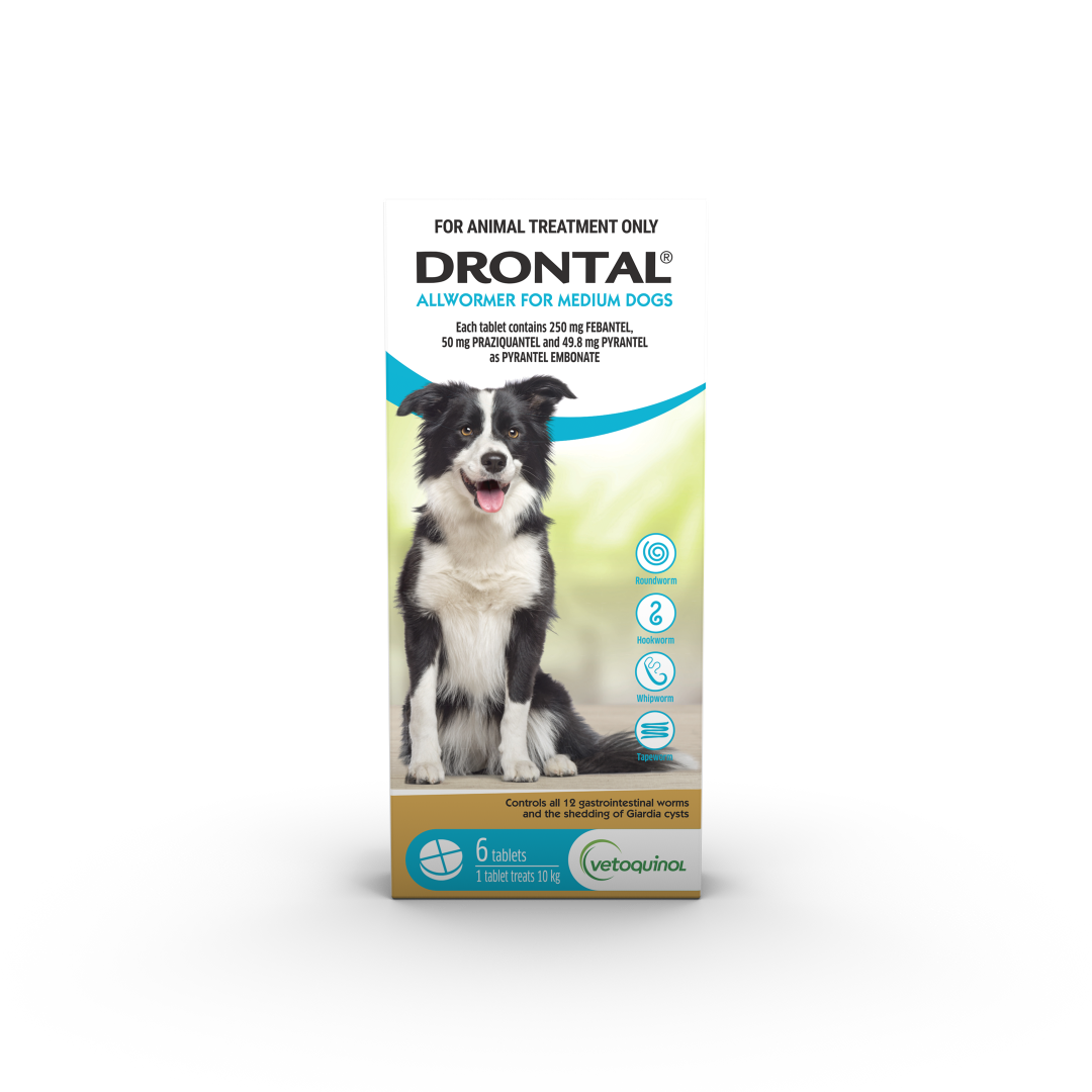Drontal Allwormer Tablets For Medium Dogs 6 Tables