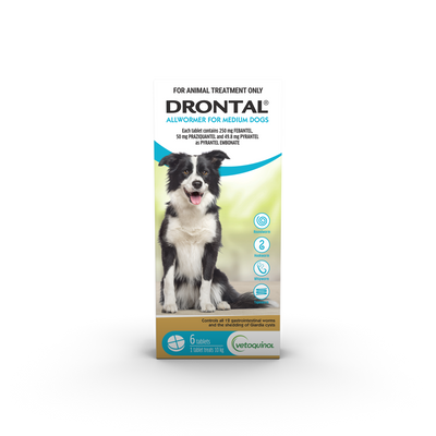 Drontal Allwormer Tablets For Medium Dogs 6 Tables
