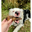 Laila and Me Dog Treat Dehydrated Duck Heads 90g
