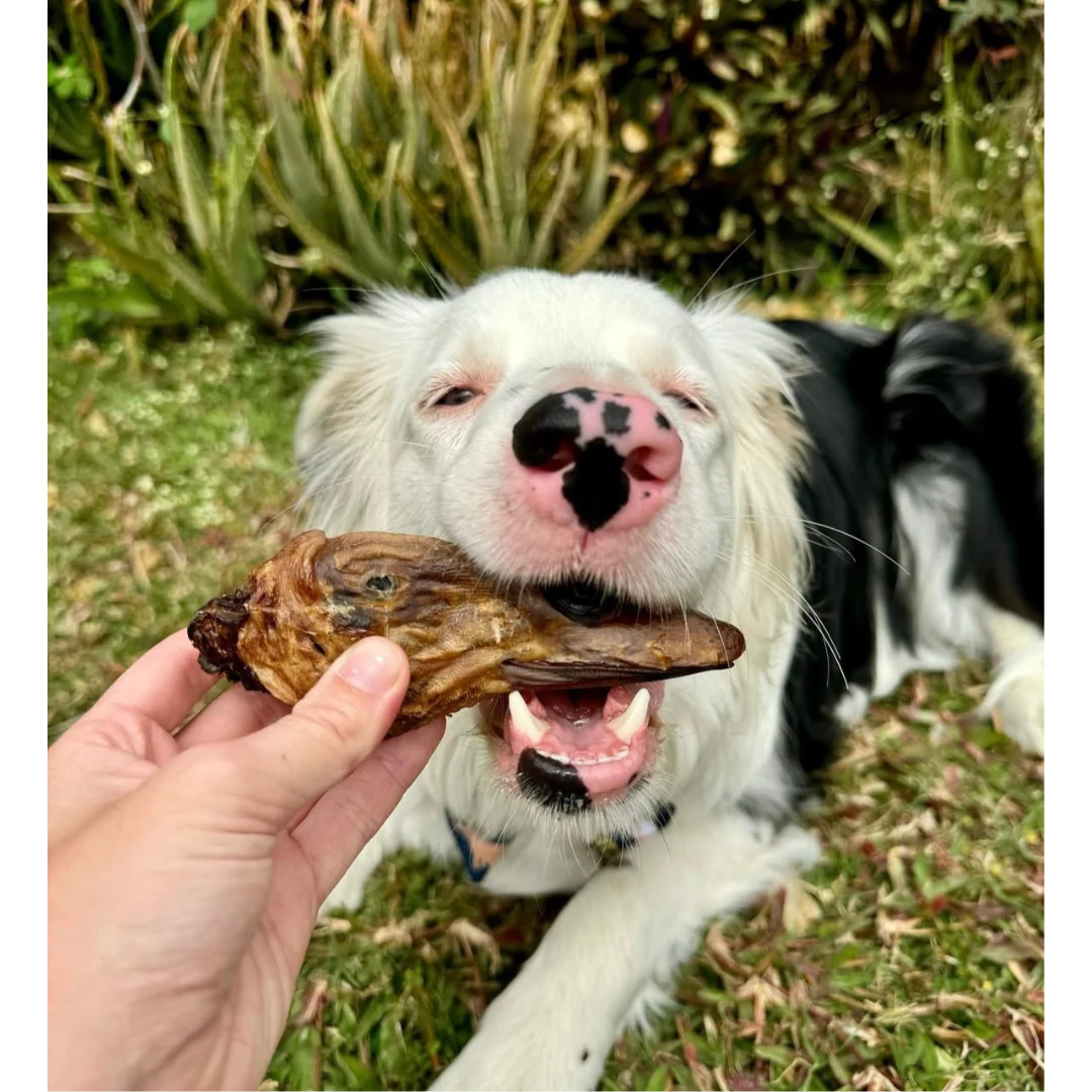 Laila and Me Dog Treat Dehydrated Duck Heads 90g