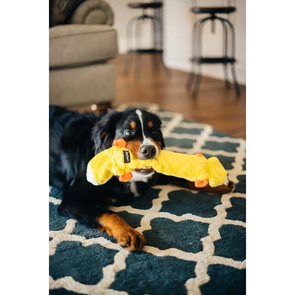Zippypaws Plush Toys For Dog Jigglerz® – Duck
