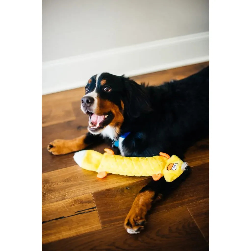 Zippypaws Plush Toys For Dog Jigglerz® – Duck