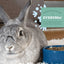 Oxbow Essentials Young Rabbit Food 2.25kg