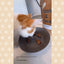 Nibbles & Paws Freeze Dried Chicken Hearts 70g
