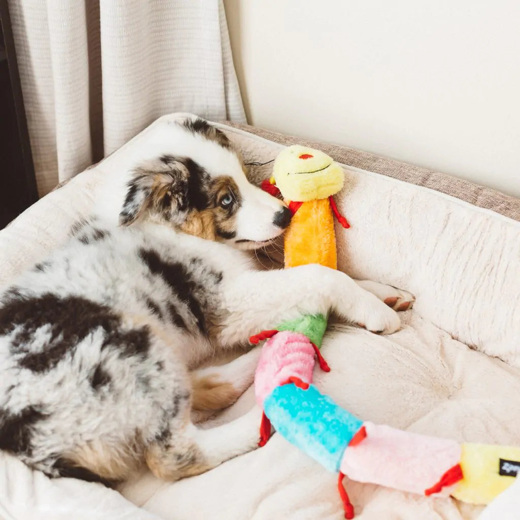 Zippypaws Plush Toys For Dog Caterpillar – Deluxe with 7 Squeakers