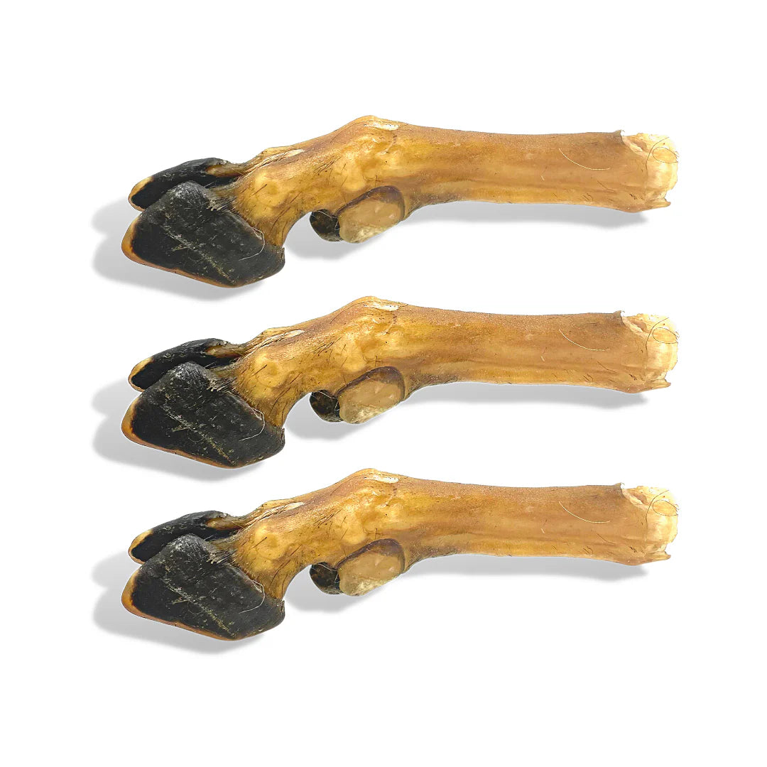 The Pet Projcet NATURAL GOAT TROTTERS (3 PACK) Dog Treats