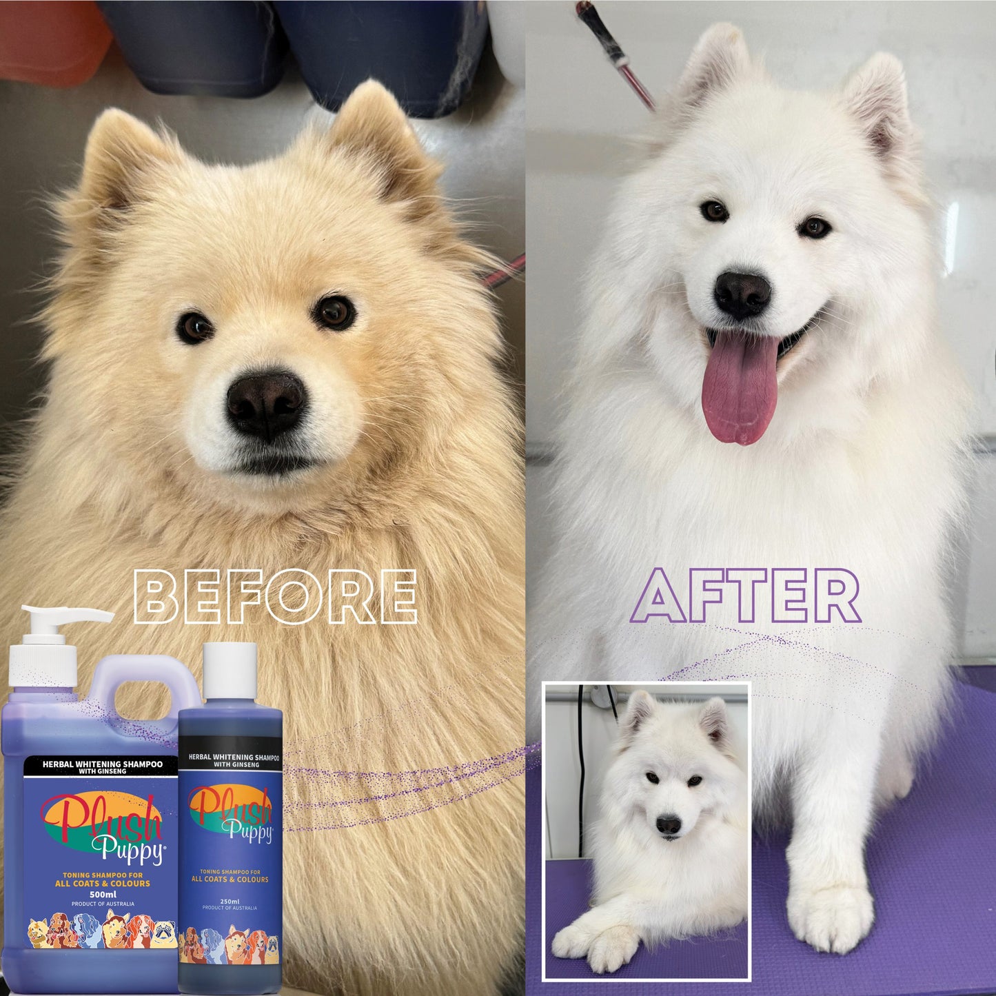 Plush Puppy - Herbal Whitening Shampoo with Ginseng