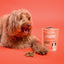 Bell and Bone Healthy Treats - Duck & Fibre for weight and energy support