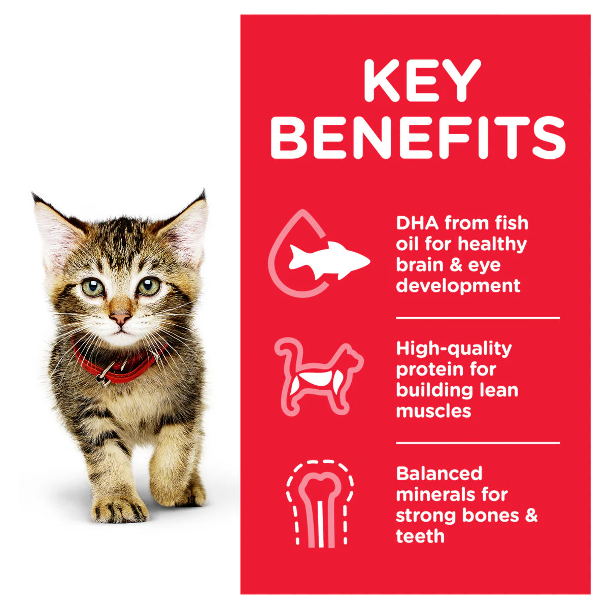 Hill's Science Diet Kitten Cat Wet Food Tender Chicken 85g X 12