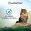 Addiction Cat Wet Food Wild Islands Island Birds Chicken & Turkey